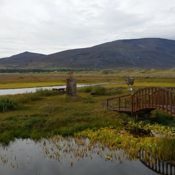 Víðistjörn og Víðishólmi. Mynd: KSE