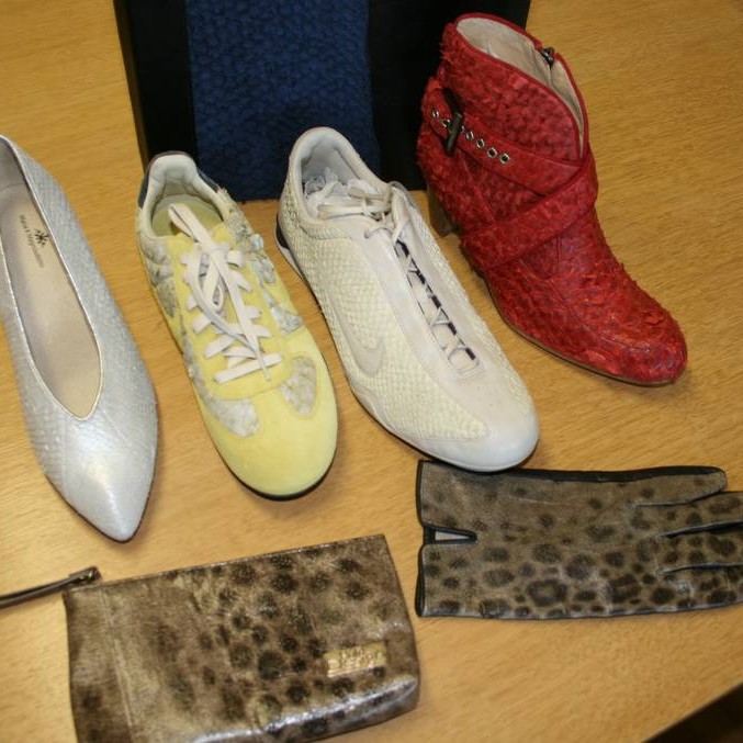 Sjávarleður í BBC