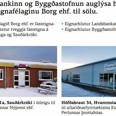 Fasteignafélagið Borg ekki falt fyrir hlutafé í Ámundakinn