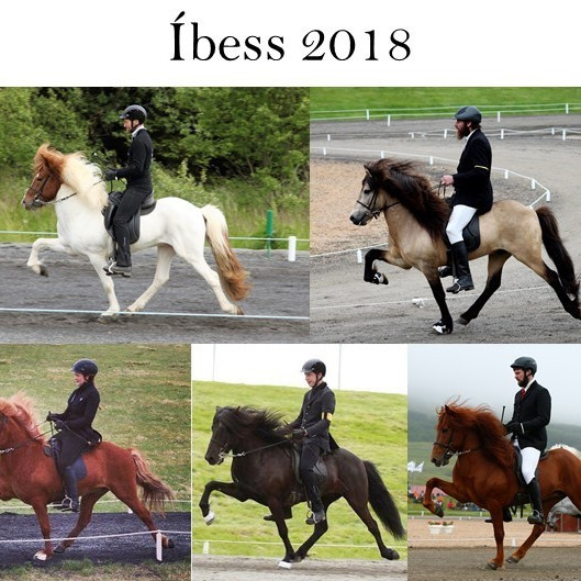 Meistaradeild KS 2018 - Íbess