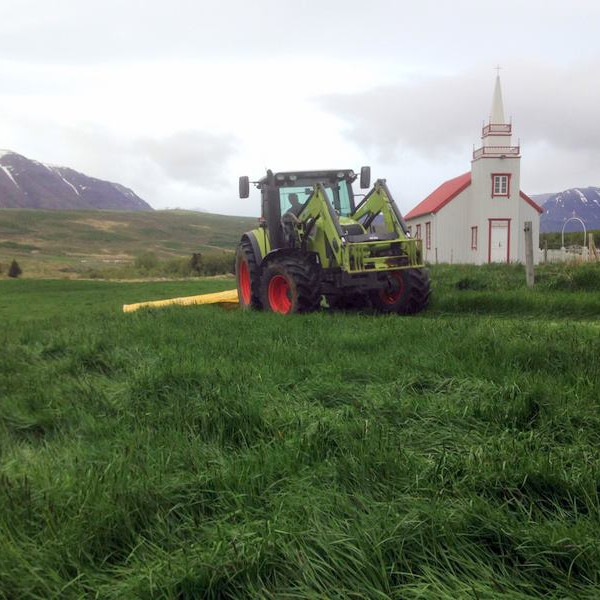 Eftir góðan vetur og ljómandi vor er komið að slætti þetta sumarið. Mynd: Gígí.