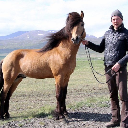 Myndatexti: Félagarnir Þórálfur og Þórarinn stilla sér upp fyrir myndatöku. Mynd: PF.