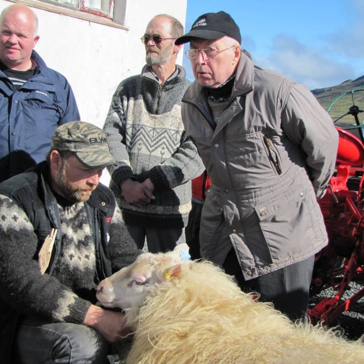 Fjölmenni á hrútaþuklinu á Sauðfjársetrinu