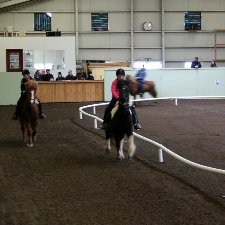 Grunnskólamót í Þytsheimum nk. sunnudag