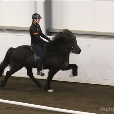 Fanney Dögg og Brúney frá Grafarkoti sigruðu fjórgang í 1. flokki og unnu sér jafnframt þáttökurétt í liði Þyts fyrir Meistari Meistaranna. Mynd/Þytur