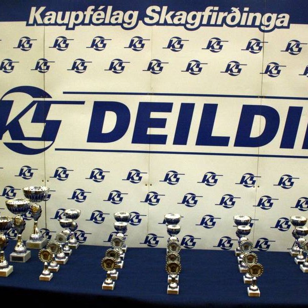 Keppt í gæðingafimi á miðvikudagskvöld - ráslisti KS-Deildarinnar