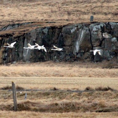 Veðurklúbburinn Dalbæ spáir í veðurfari aprílmánaðar