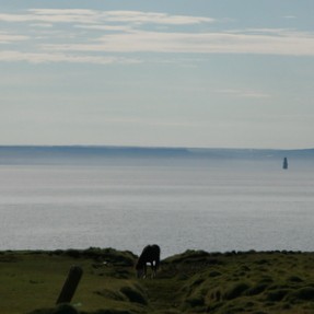 Það verður mikið um að vera í hestamennskunni í Skagafirði í sumar. Mynd: KSE