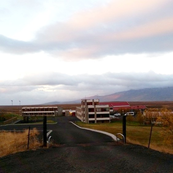 Frá Húnavöllum í Húnavatnshreppi. Mynd/KSE