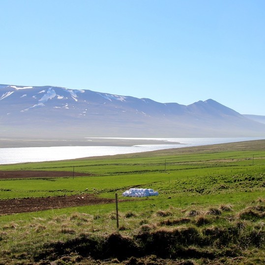 Svínavatn í Húnavatnshreppi. Mynd/BÞ