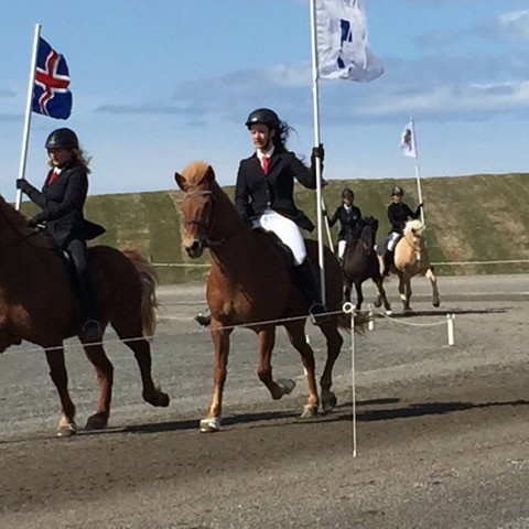Frá WR móti sem haldið var á Hólum á dögunum. Mynd: Heiðrún Eymundsdóttir.