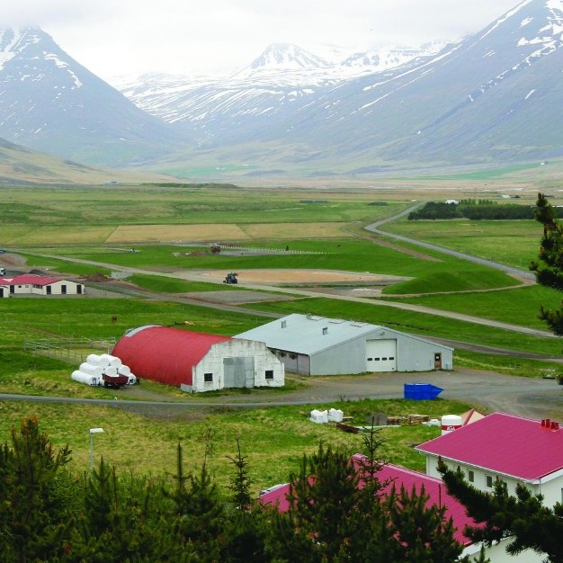 Frá Landsmótssvæði á Hólum. Mynd/ÓAB