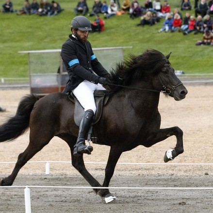 Loki frá Selfossi og Árni Björn Pálsson. Mynd: eidfaxi.is