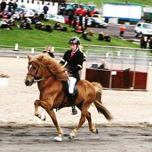 Dagmar Öder Einarsdóttir og Glóey. Mynd: Facebooks síða Halakots-Góðhesta.