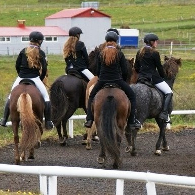 Sameiginlegt gæðingamót Þyts og Neista verður á laugardaginn kemur. Mynd: 123.thytur.is