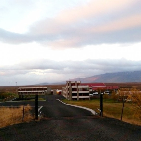 Frá Húnavöllum. Mynd: KSE