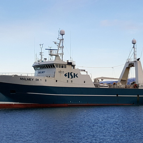 Málmey SK 1 veiddi mest ferskfisksskipa