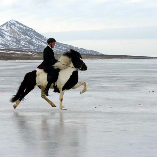 Frá ísmóti. Mynd:is-landsmot.is/