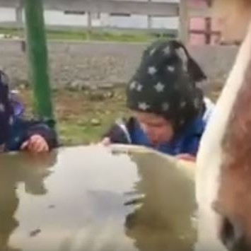 Krúttmyndband dagsins - skylduáhorf!