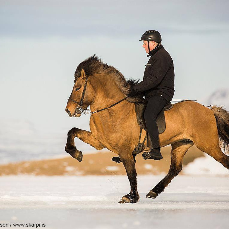 Opið hús hjá Hildi og Skapta á Hafsteinsstöðum