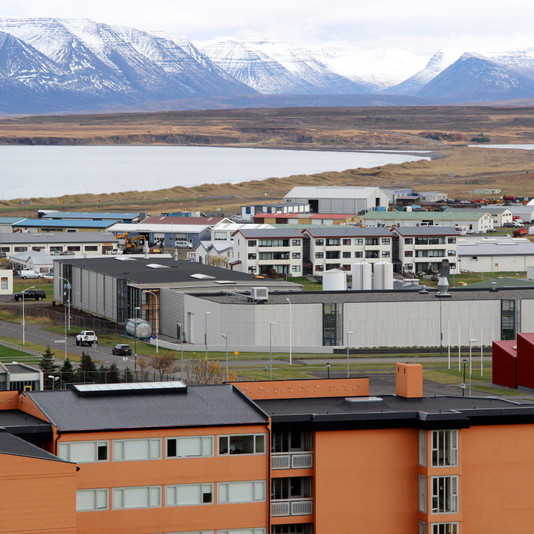 Verksmiðja Heilsupróteins tekin í gagnið