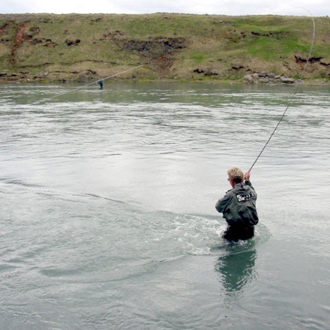 Laxveiðifréttir héðan og þaðan