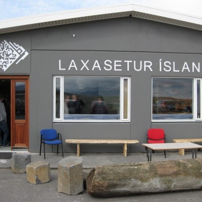 Útimarkaður við Laxasetrið í sumar