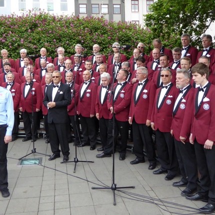 Karlakórinn Heimir á Austurvelli