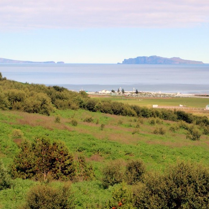 Í Skagafirði á fallegum ágústdegi. Mynd: KSE.