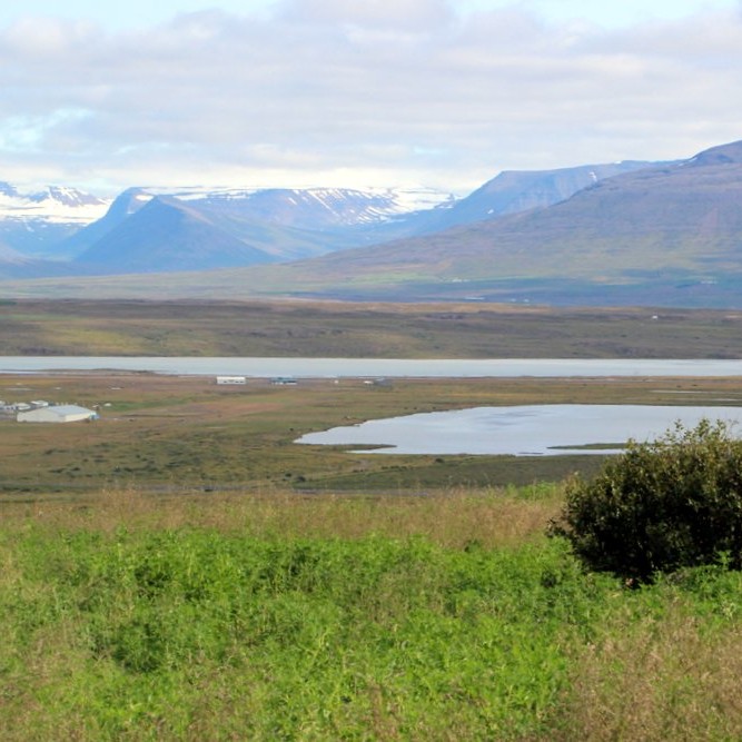 Úr Skagafirði. Mynd: KSE