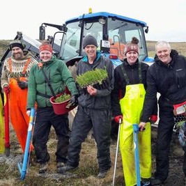 Unnið við gróðursetningu í hagaskóg á Fjarðarhorni í Hrútafirði . Mynd: Skogur.is