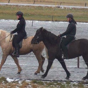 Frá grunni til afkasta