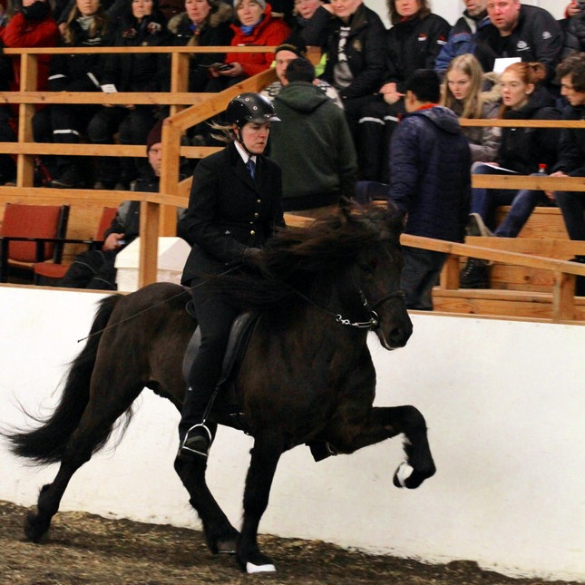 Frá keppni í KS deildinni í vetur. Mynd: KS deildin.