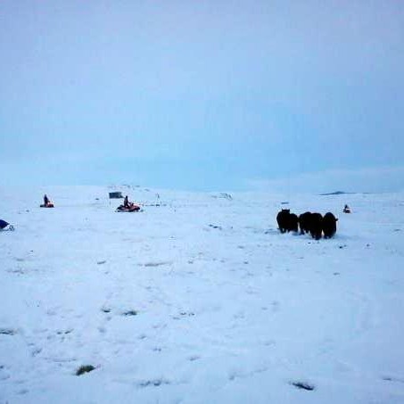 Fyrstu aðstoðarbeiðnirnar á árinu