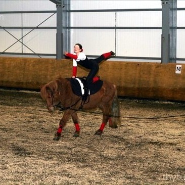 Mikið um að vera í Þytsheimum