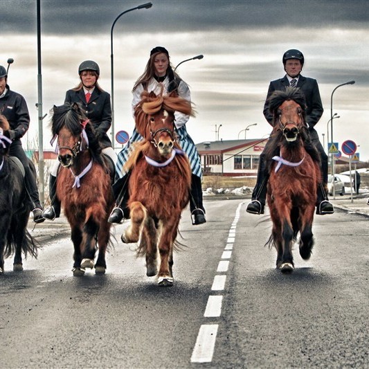 Húnvetnska liðakeppnin - ráslistar