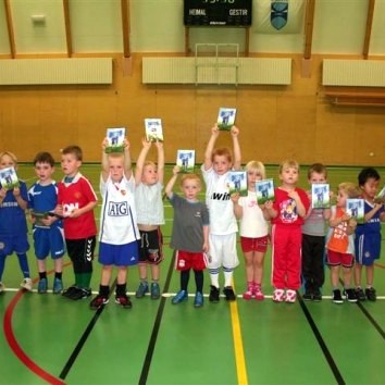 Uppskeruhátíð yngri flokka í knattspyrnu