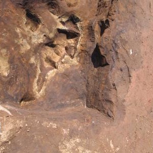 Kirkjugarðsrannsókn á Stóru-Seylu