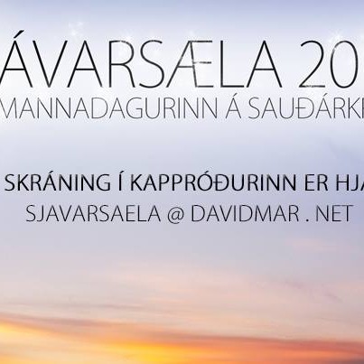 Sjávarsæla 2013
