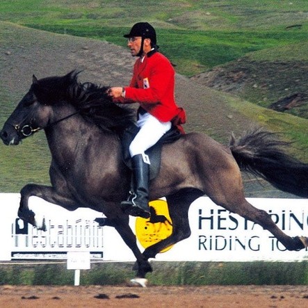 Opið hestaíþróttamót á Sauðárkróki