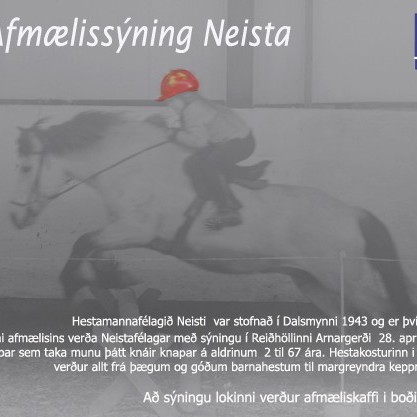 Knáir knapar á afmælissýningu Neista