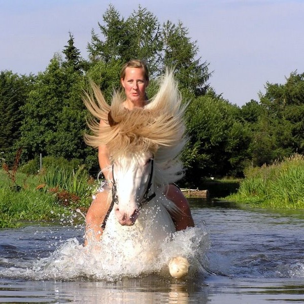 Veglegir vinningar í leik Hrímnis og HM