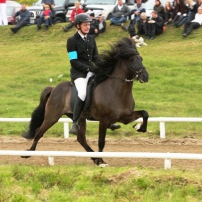 Arnar Bjarki í knapakynningu