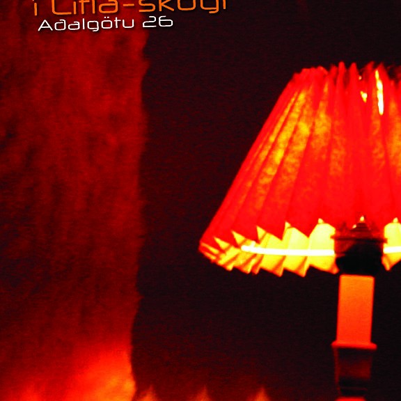 Opin Listasmiðja - Art 65,45°N