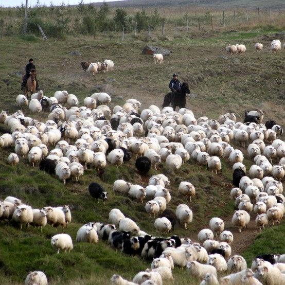 Fá ekki greitt fyrir aukasmalanir