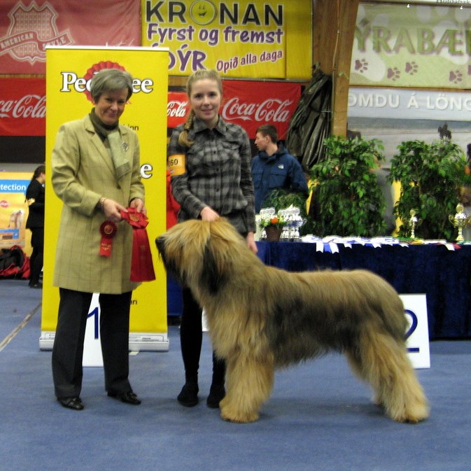 Skagfirskir sýningarhundar stóðu sig vel um helgina