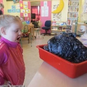 Listasýning í Landsbankanum