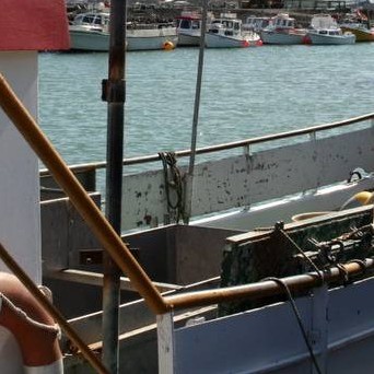 Vilja að úthlutað verði allt að 20 þús. tonnum til makrílveiða á króka