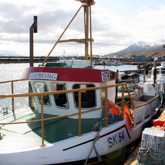 Úthlutun byggðakvóta í Skagafirði