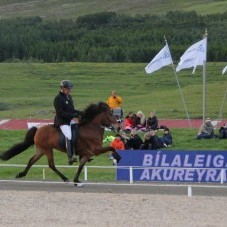 Bergur Jónsson og Katla frá Ketilsstöðum. Mynd: landsmot.is.